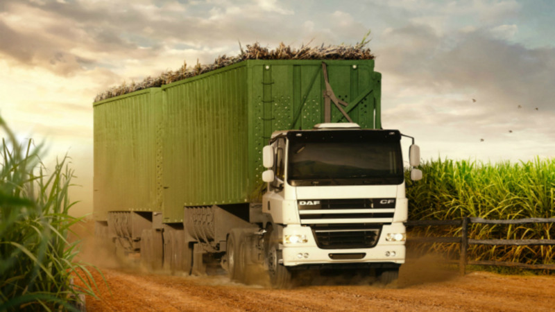 пела фуре. водитель фуры. рено магнум 2002 перевозчик. рено магнум зерновоз. реклама на грузовиках.